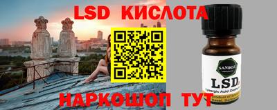 шишки Аргун