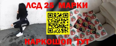 шишки Аргун