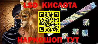 шишки Аргун