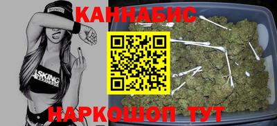 шишки Аргун