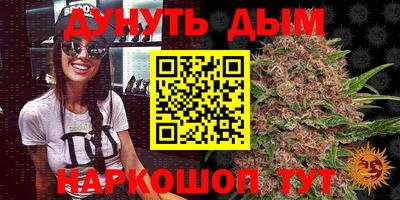 шишки Аргун