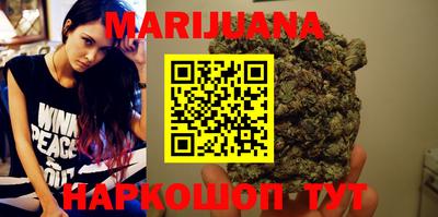 шишки Аргун